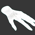3D Model of Human Hand with Extended Fingers and Realistic Skin Texture