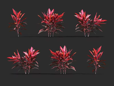 Six Potted Red Foliage Plants with Vibrant Leaves on Black Background 3d model
