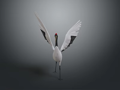 White Crane With Red Crown Spreading Wings And Black Wing Edges On Gray Background 3d model