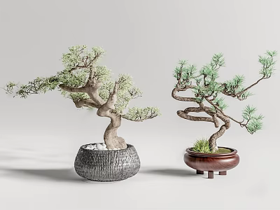 Two Bonsai Trees With Curved Branches In Gray And Brown Decorative Pots 3d model