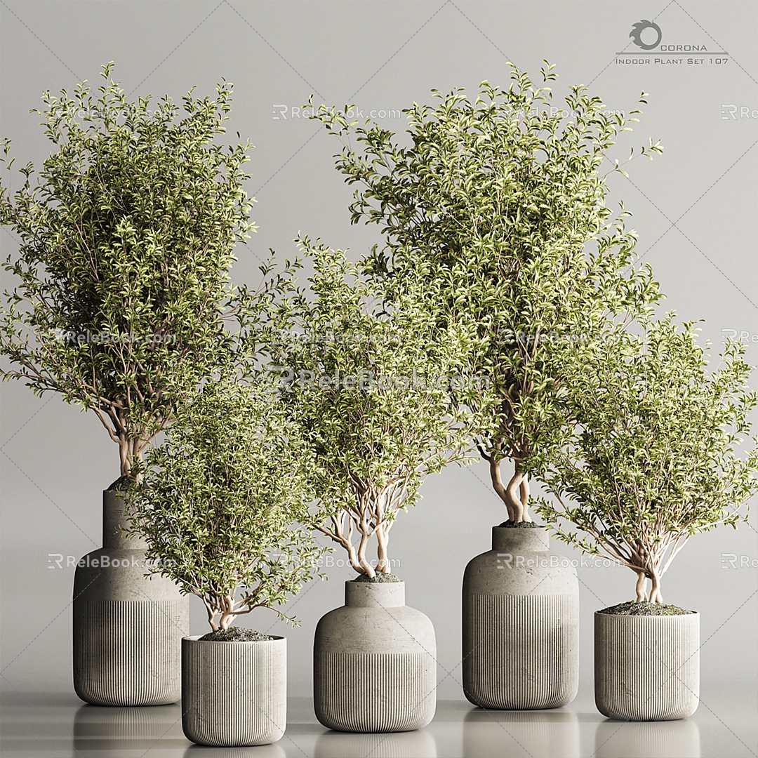 potted plant 3d model