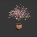 Potted Citrus Tree with Yellow Fruits in Brown Patterned Pot Against Dark Background
