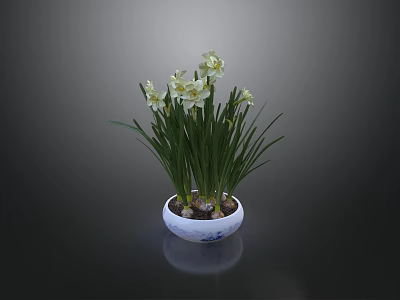 White Narcissus With Long Green Leaves In Blue And White Bowl Pot On Black Background 3d model