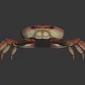 Red Crab With Detailed Legs And Realistic Appearance On Dark Reflective Surface