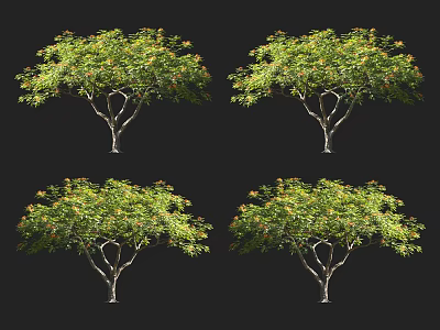 Healthy Arbor With Lush Green Leaves And Yellow Blossoms On Black Background 3d model