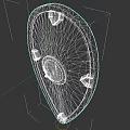 Ancient Shield Weapon With Metal Rim Wooden Leather Surface And Triangular Reinforcements