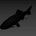 Gray Fish With Scales And Fins On Plain Gray Background