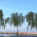 Willow Trees in Scenic Landscape With Blue Sky Water Surface and Distant Boat