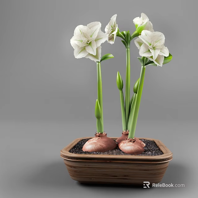Bonsai Potted Plant With White Flowers Green Stems Bulbous Roots And Brown Square Pot 3d model 