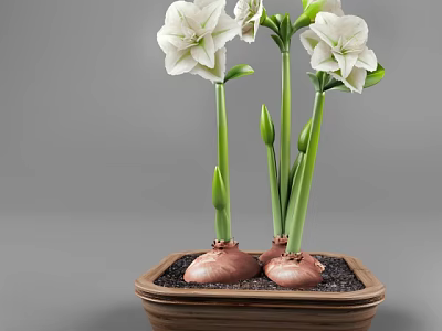 Bonsai Potted Plant With White Flowers Green Stems Bulbous Roots And Brown Square Pot 3d model