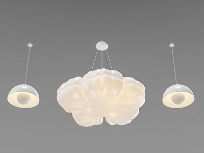 White Flower Shaped Chandelier With Two Round Pendant Lights In Modern Design 3d model