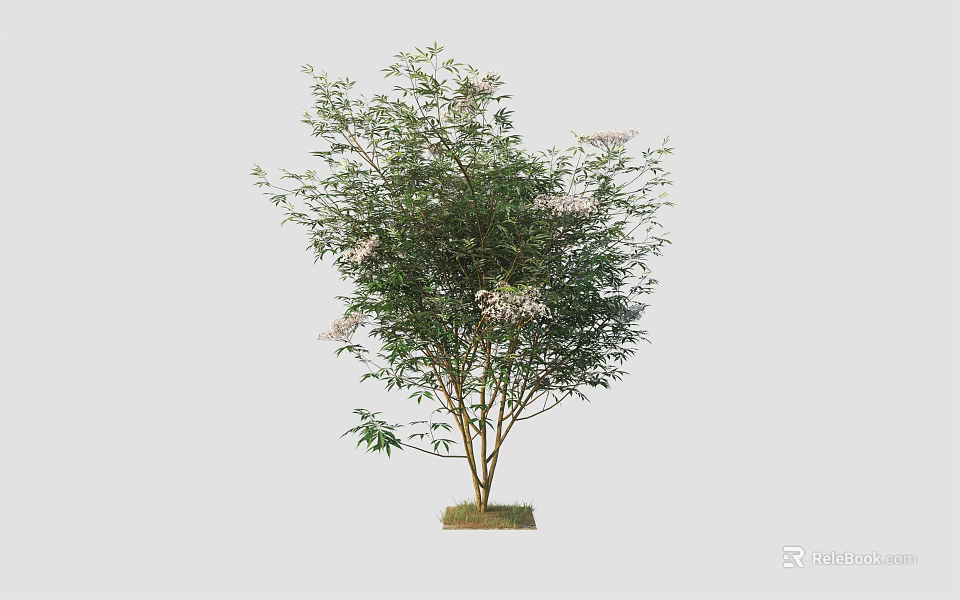 Lush Arbor With Green Leaves White Small Flowers And Sturdy Trunk 3d model 