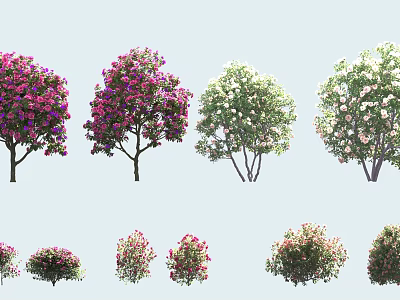 Various Colorful Flowering Arbor Trees With Pink Purple White Blooms And Shapes 3d model