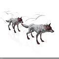 Two red foxes with white flowing fur standing on white background 3d model