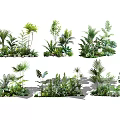 Diverse Tropical Plant Combinations With Green Foliage And Indoor Decor