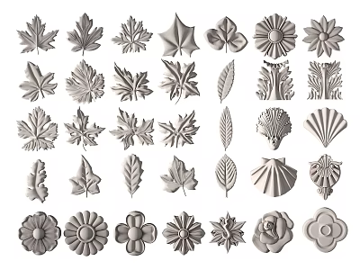 Carvings With Various Leaf Flower And Shell Designs For Decorative Purposes 3d model
