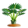 Lush Green Tropical Palm Plant With Fan Shaped Leaves And Brown Pot Base