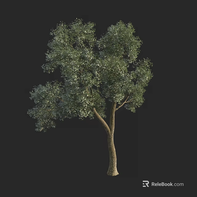 Single Arbor With Lush Green Leaves And Brown Trunk On Black Background 3d model 