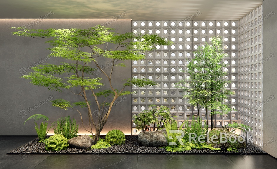 Modern courtyard plant landscape sketch interior landscape landscaping plant maple fern stone model