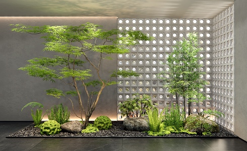 Modern courtyard plant landscape sketch interior landscape landscaping plant maple fern stone 3d model