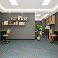 Office Interior Design With Gray Walls Wooden Shelves Green Plant And Blue Gray Striped Carpet