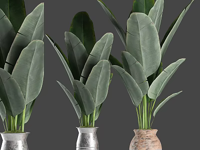 Decorative Ornament Set with Large Leaf Green Plants in Metallic and Clay Vases 3d model