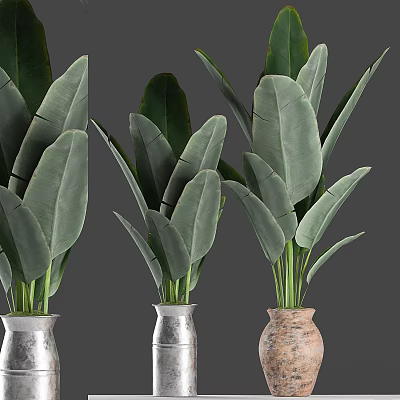 Decorative Ornament Set with Large Leaf Green Plants in Metallic and Clay Vases 3d model