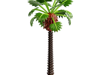 Tall Palm Tree With Green Feathery Fronds And Brown Textured Trunk Outdoors 3d model