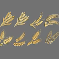 Golden Wheat Ears Agricultural Crop Decorative Designs And Natural Grain Patterns