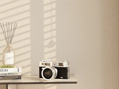 Decorative Ornament Set With Vintage Camera Reed Diffuser And Books On Shelf With Sunlight Shadows 3d model
