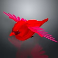 Red Bird Flying with Pink Wings and Reflection on Dark Background