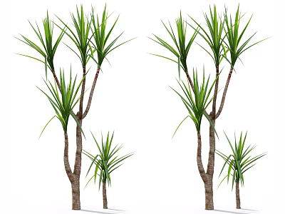 Tall And Short Green Leafy Plants With Long Leaves And Brown Trunks 3d model