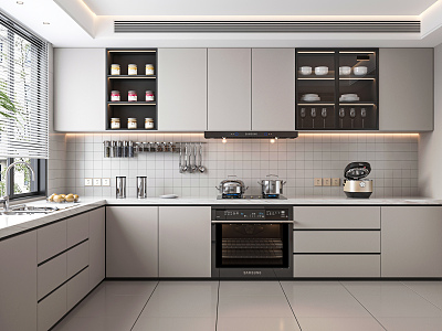 Modern Kitchen model