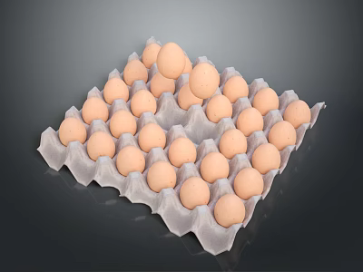 Chicken Farm Fresh Brown Eggs Neatly Arranged in Paper Carton 3d model