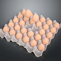 Chicken Farm Fresh Brown Eggs Neatly Arranged in Paper Carton