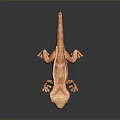 Realistic Light Brown Gecko Reptile With Red Eyes And Smooth Skin On Dark Background