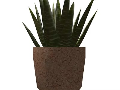 Green Bonsai Potted Plant With Long Striped Leaves In Brown Cracked Pot 3d model