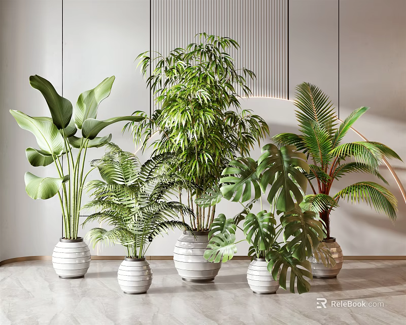 Indoor Potted Plants With Various Green Leaves In White Ceramic Pots For Modern Home Decoration 3d model 