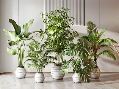 Indoor Potted Plants With Various Green Leaves In White Ceramic Pots For Modern Home Decoration 3d model
