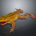 Yellow Striped Frog With Open Mouth And Webbed Feet On Dark Background