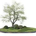 Lush Green Arbor in Circular Lawn with Surrounding Bushes and Grass