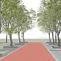 Arbor Trees Lined Along Red Pathway With Green Leaves And Tree Planters