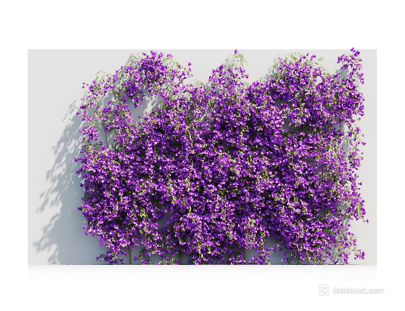 Beautiful Lush Purple Vines With Small Purple Flowers Covering White Background 3d model 