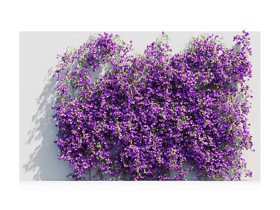 Beautiful Lush Purple Vines With Small Purple Flowers Covering White Background 3d model