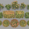 Various Shaped Colored Plants with Round Square Irregular Forms in Green Yellow Red Hues