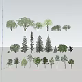 Various Arbor Tree Species Including Pine Willow Evergreen and Deciduous Types 3d model
