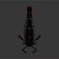 Realistic Black and Red Shrimp With Detailed Texture in 3D Digital Rendering 3d model