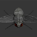 Game Movie Character 3D Rendered Fly With Transparent Wings Red Eyes Metallic Body