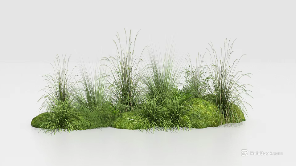 Floral Decor With Lush Herbaceous Grasses And Green Vegetation 3d model 