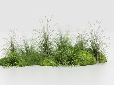 Floral Decor With Lush Herbaceous Grasses And Green Vegetation 3d model